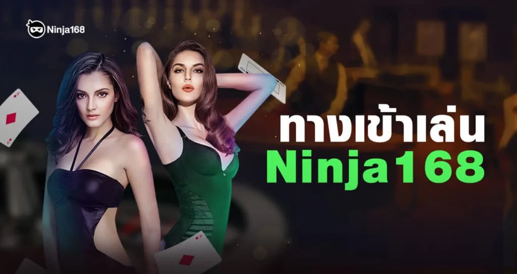 ninja168 ทางเข้า